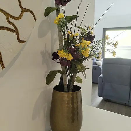 Maçarico's * Nazaré